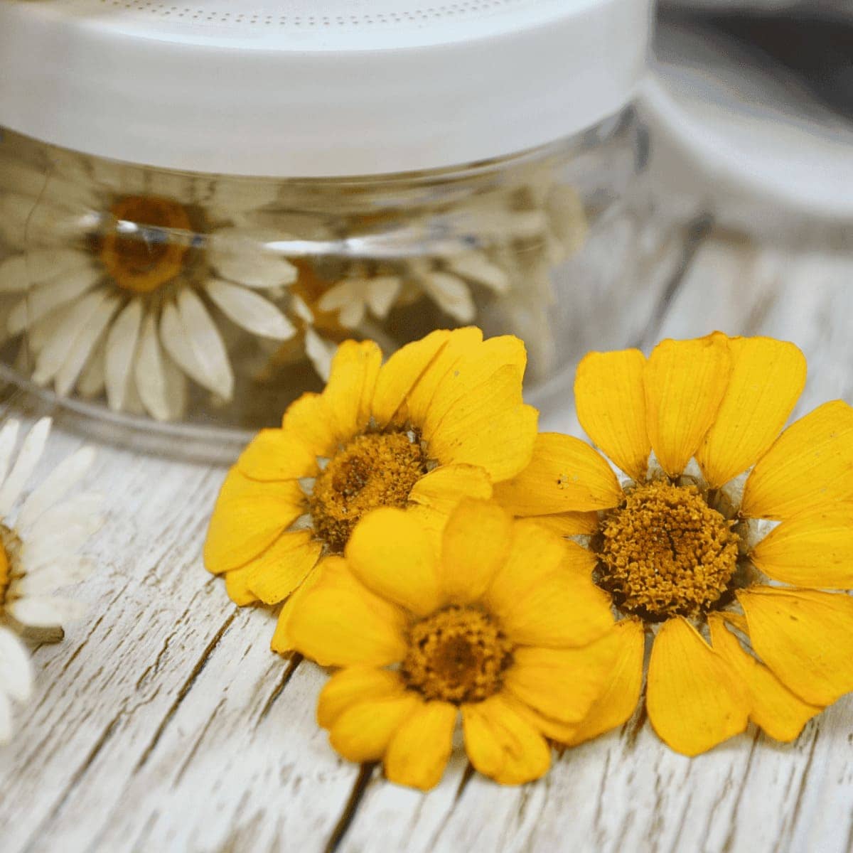 Mezclas de flores Rosie Rose 10g