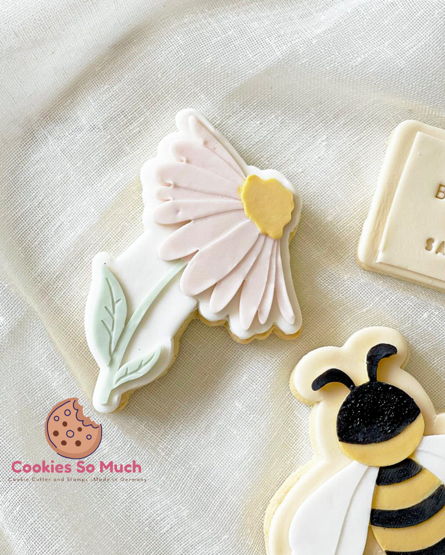 halbe gänseblümchen debosser und ausstecher