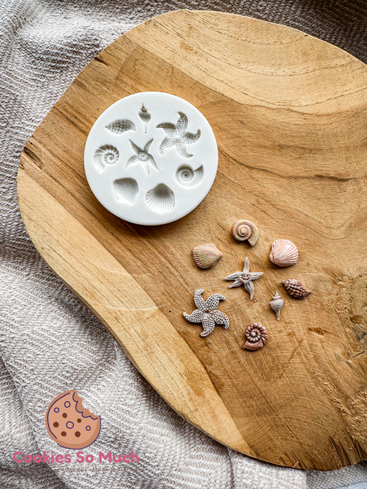 verschiedene Muscheln Silikonform